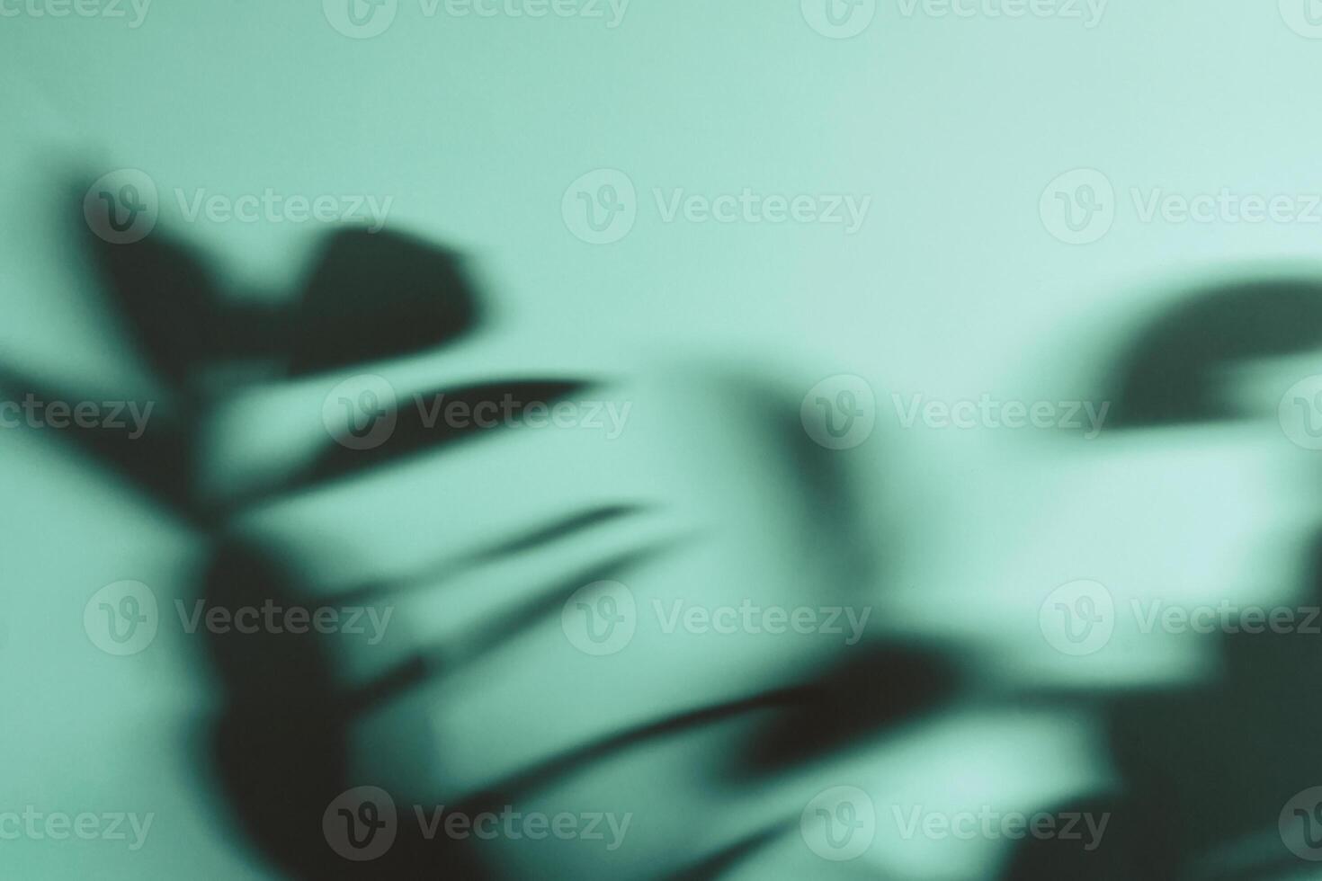Natural leaves shadow on gradient paper background. Abstract blue and mint floral backdrop. Soft light photo