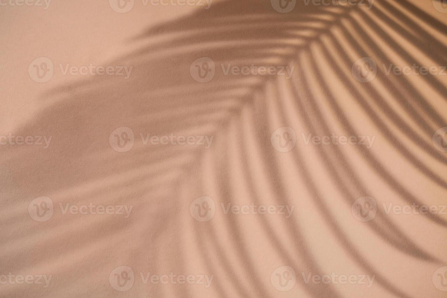 Shadow of palm leaf on natural earthy colors background. Creative drawing of light and shadow for your design photo