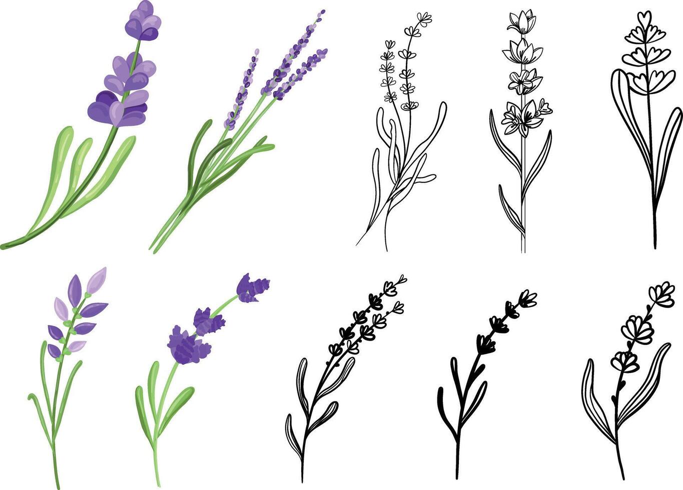 Set of branches lavender in doodle and hand drawn styles vector
