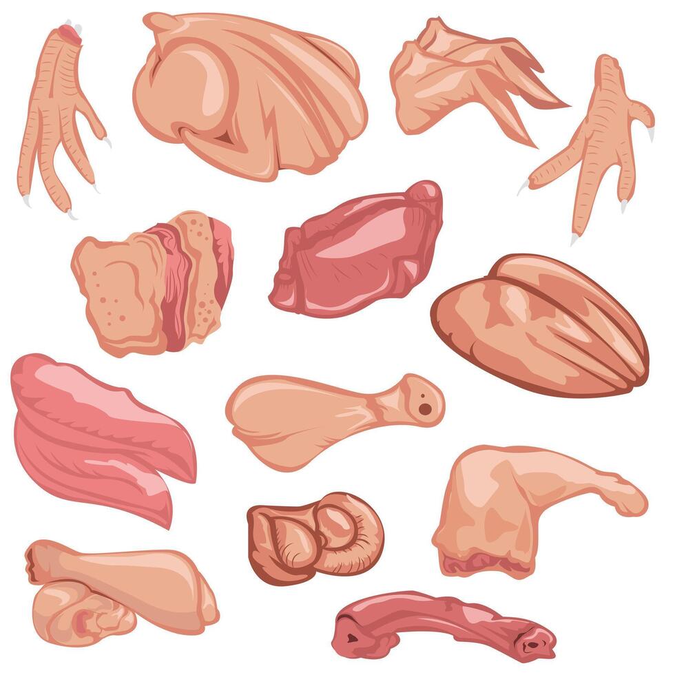 Assorted Chicken Raw Meat Cuts Illustration vector
