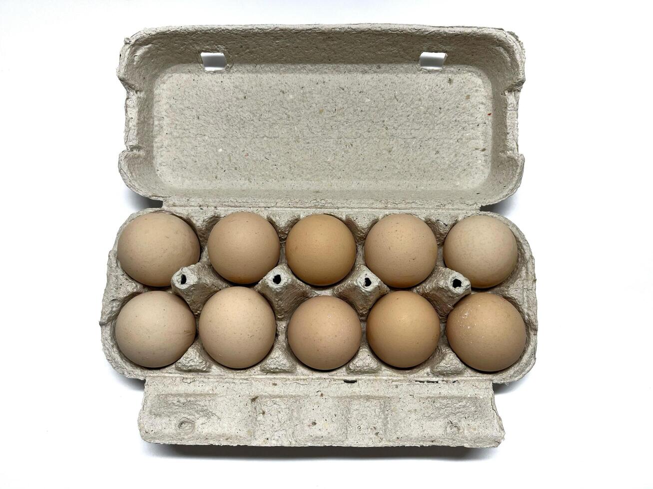 Ten organic chicken eggs in cardboard box isolated on a white background. Egg carton. photo