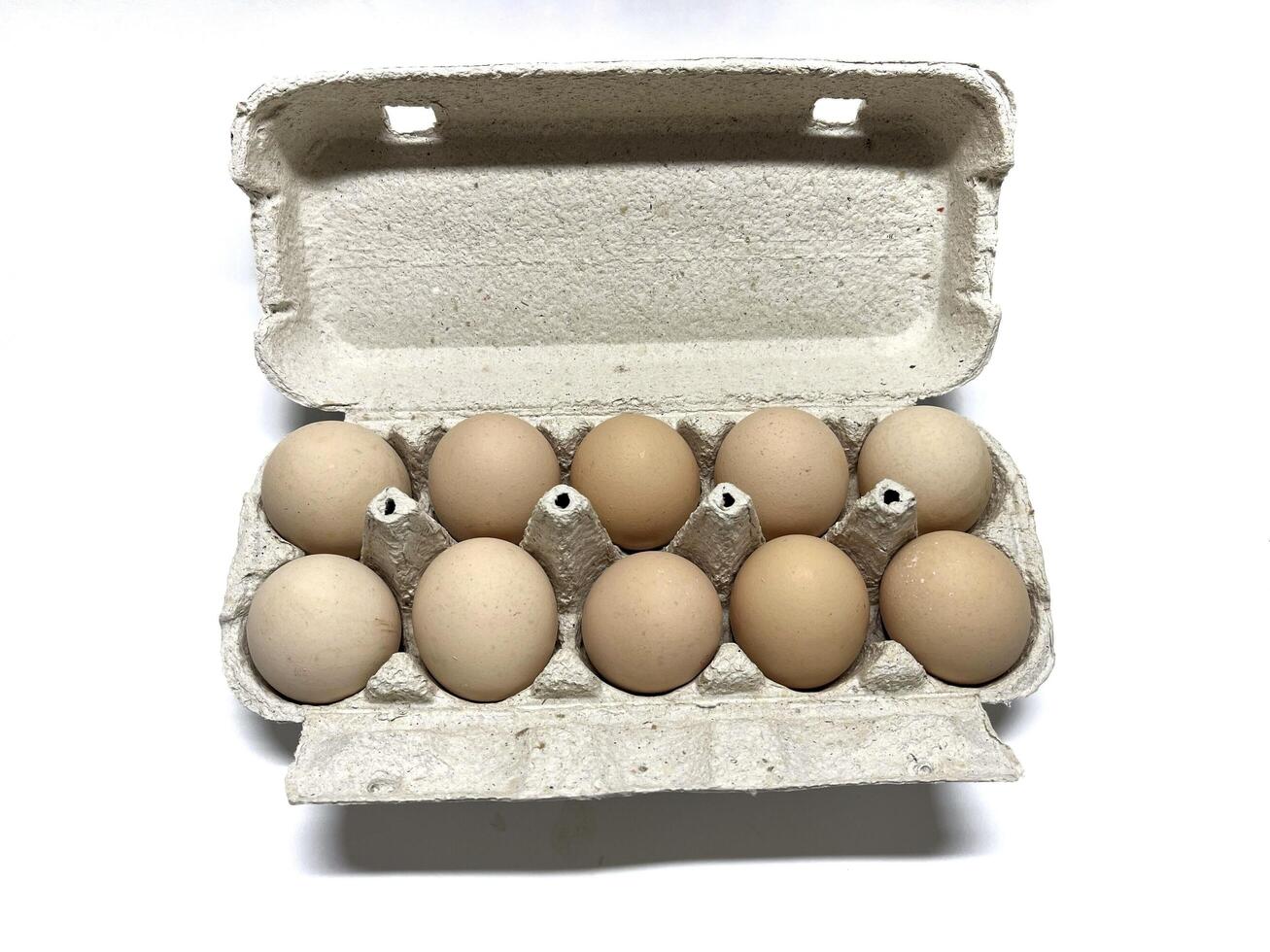 Ten organic chicken eggs in cardboard box isolated on a white background. Egg carton. photo