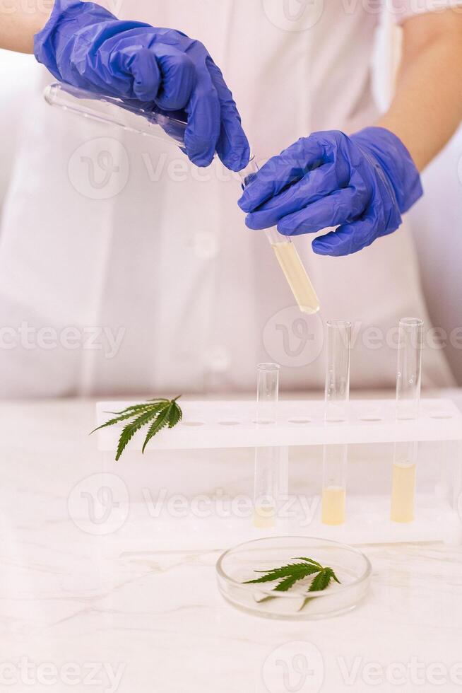A close-up of a hand in a blue glove holding a laboratory test tube. photo