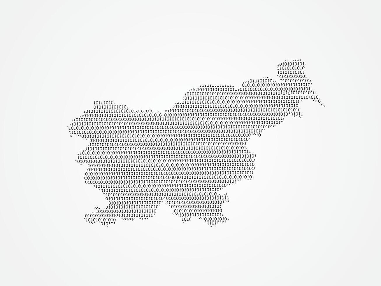 Slovenia map illustration using binary digits vector