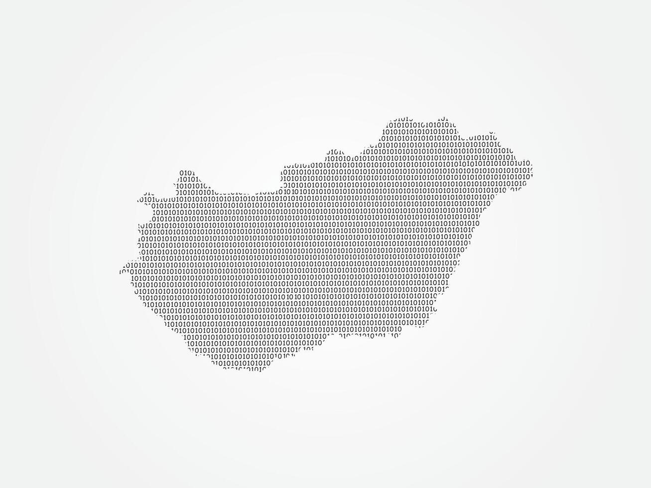 Hungary map illustration using binary digits vector