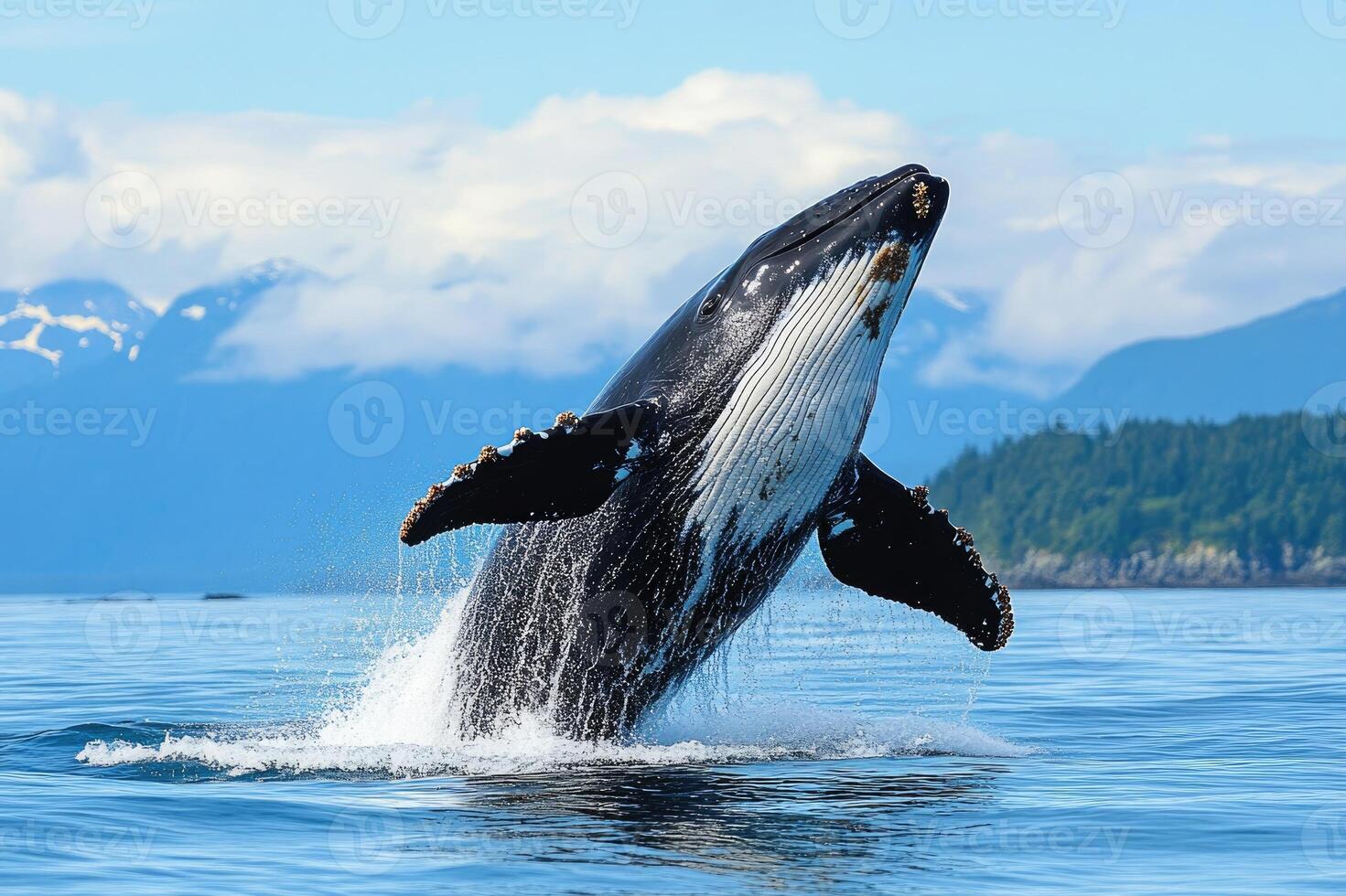 Majestic whale emerging from the ocean waterscape. photo