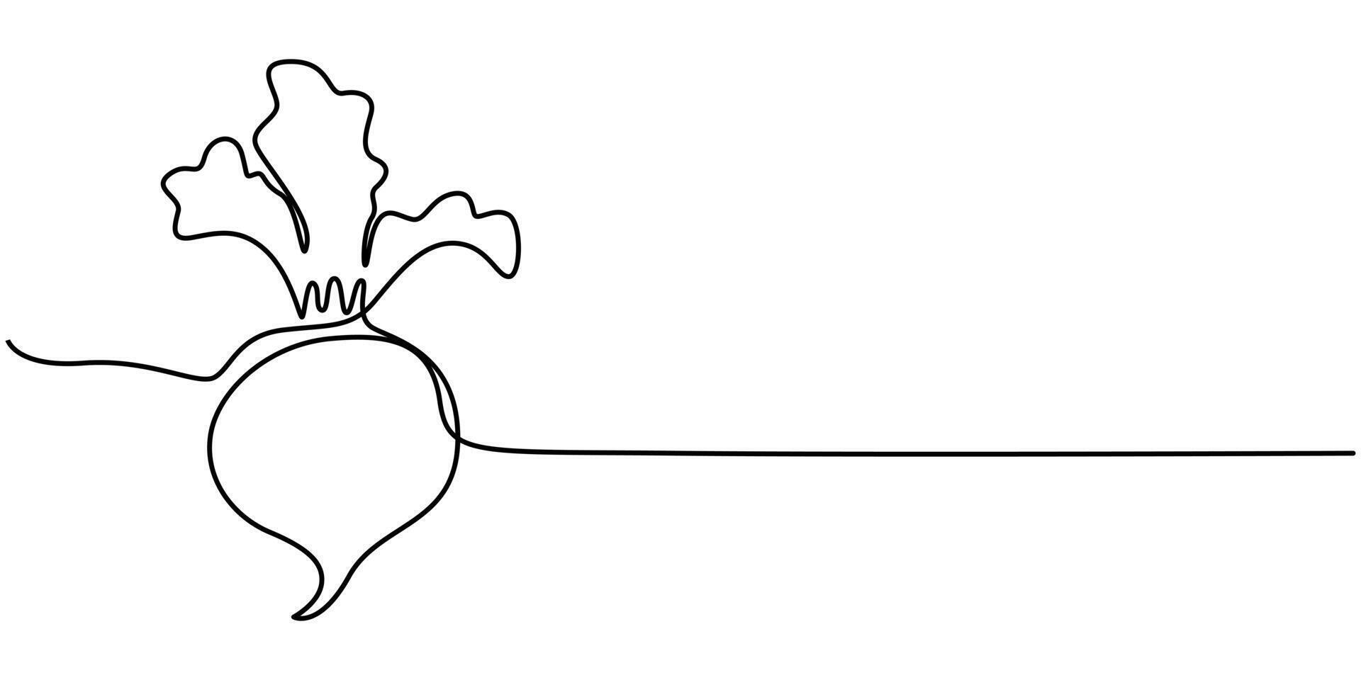 Beetroot in continuous line art drawing style vector