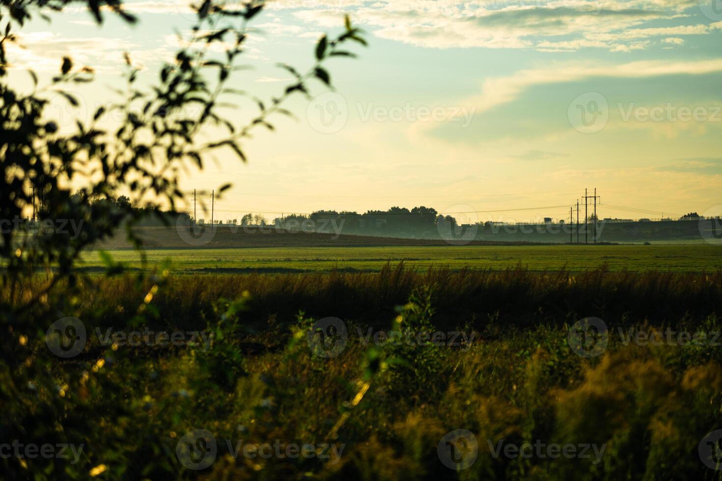View of the field in the evening in the village. The clouds photo