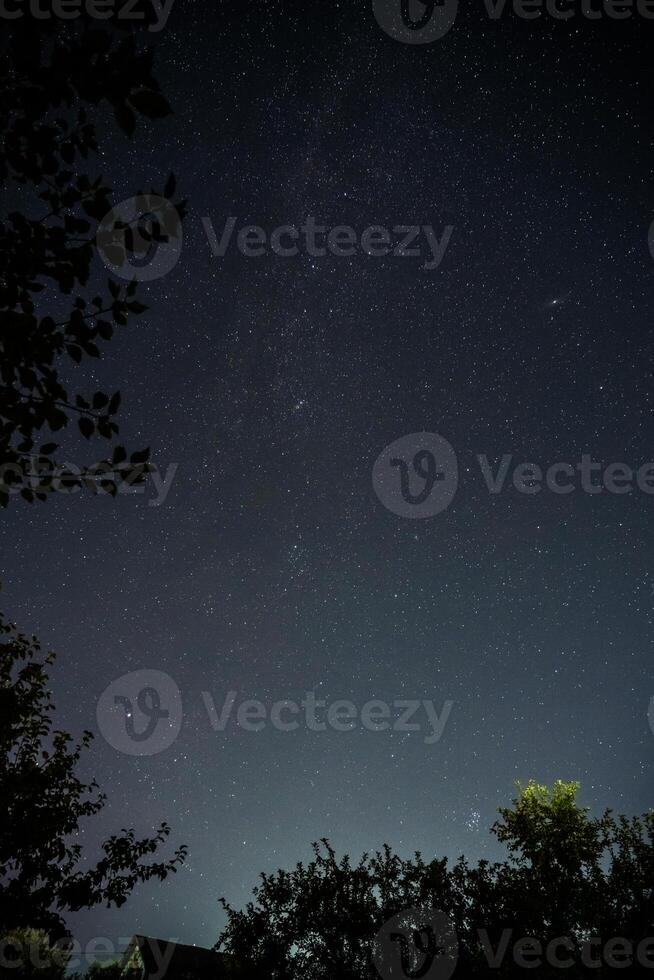 The Milky Way. The starry sky. The crown of the tree on the right in the corner photo