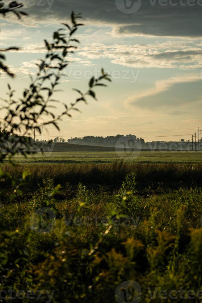 View of the field in the evening in the village. The clouds photo