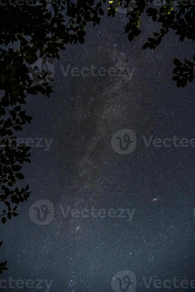 The Milky Way. The starry sky. The crown of the tree on the right in the corner photo