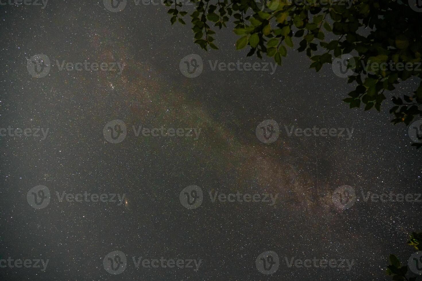 The Milky Way. The starry sky. The crown of the tree on the right in the corner photo