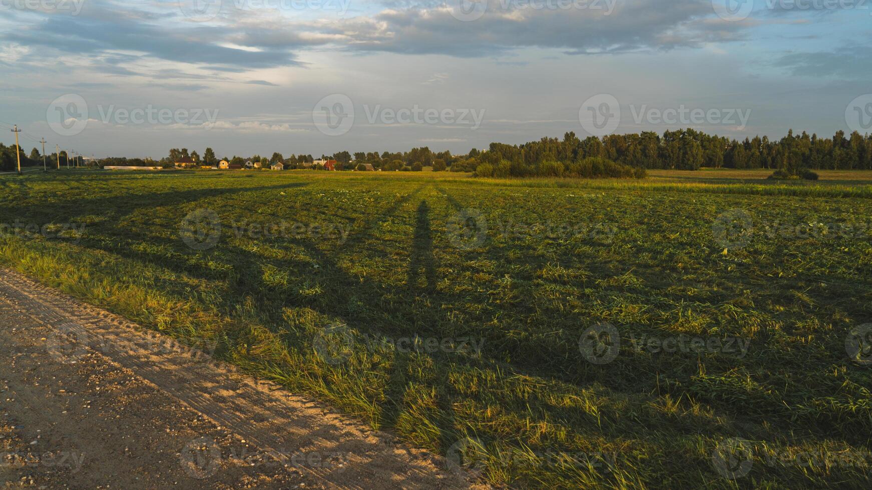 The shadow of a man between the poles of power lines. In the evening at sunset photo
