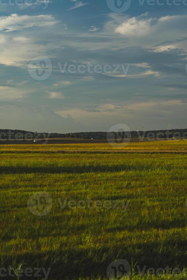 View of the field in the evening in the village. The clouds photo