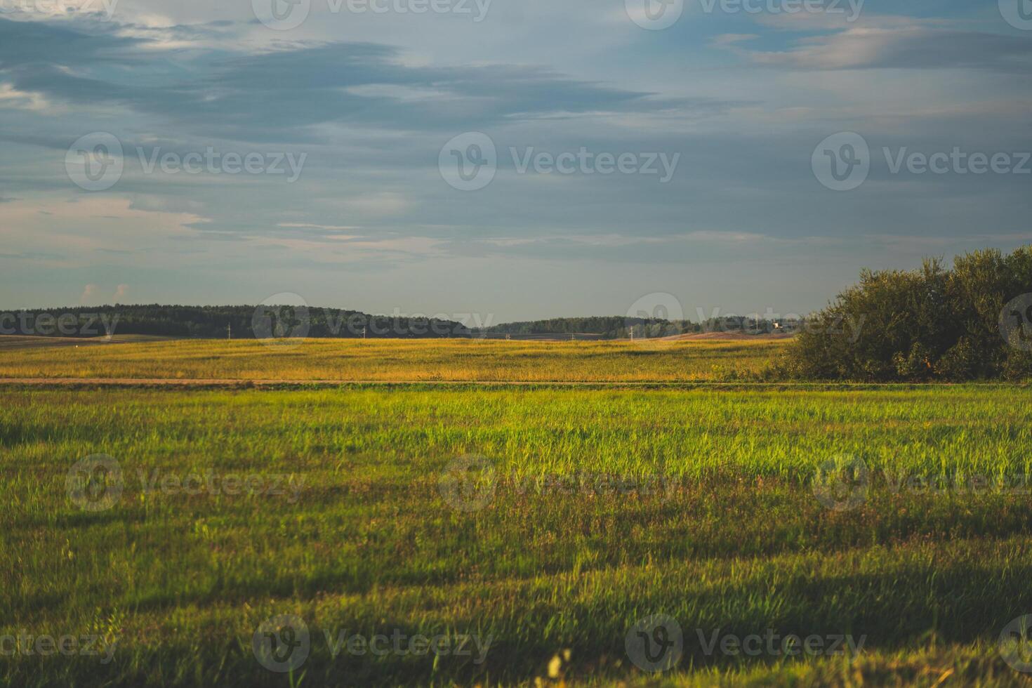 View of the field in the evening in the village. The clouds photo