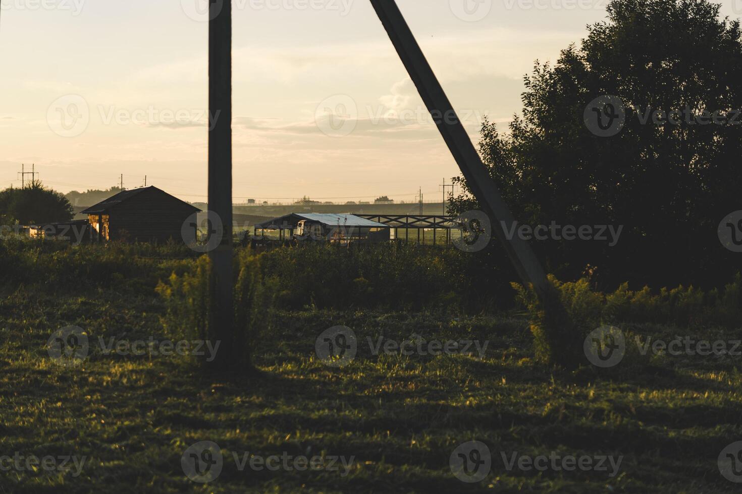 Tractor, farm away between the poles of power lines. Evening, sunset photo