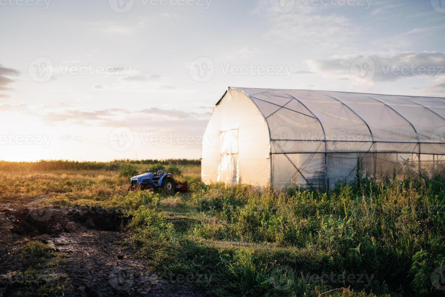 An agricultural landscape with a greenhouse used for growing vegetables and greens in the wintertime and a blue tractor. A green field. The farm at sunset. photo