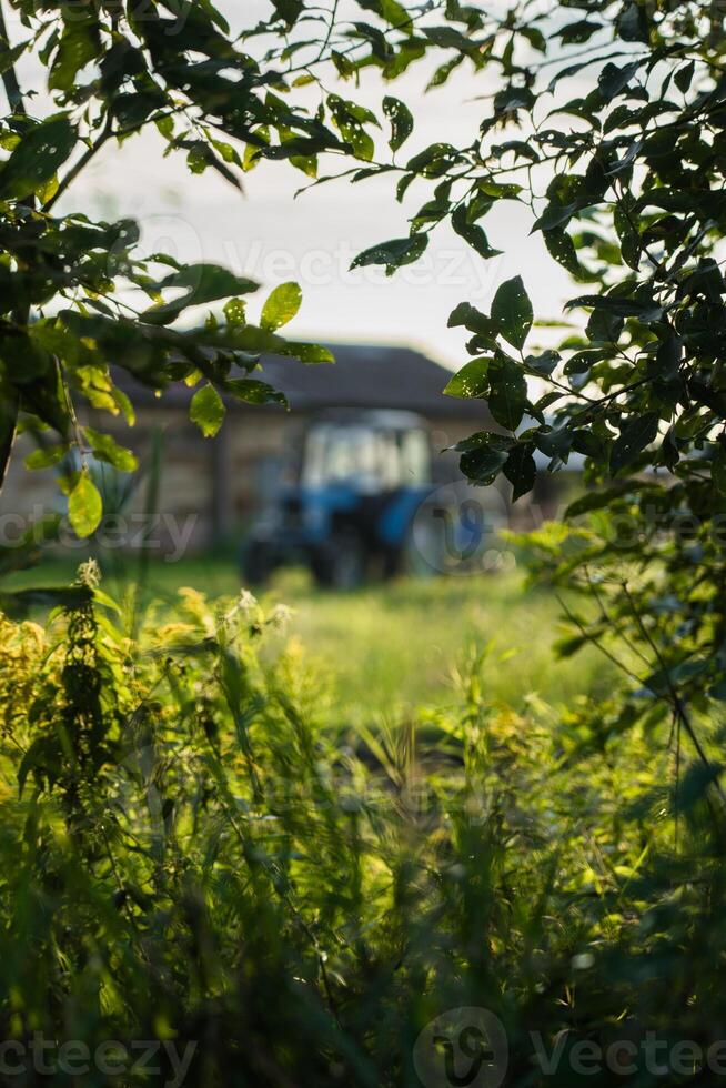 Blue tractor in the evening, at sunset after a hard day's work.A green field photo