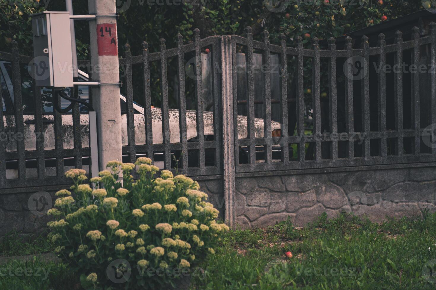 A forgotten, white car stands behind a fence. Car is covered with mold and moss photo