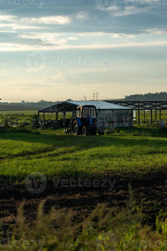 Blue tractor in the evening, at sunset after a hard day's work.A green field photo