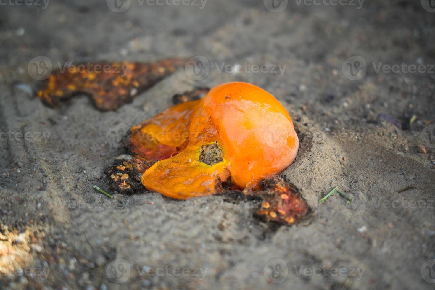 A crushed orange tomato is lying on the road in the sand photo