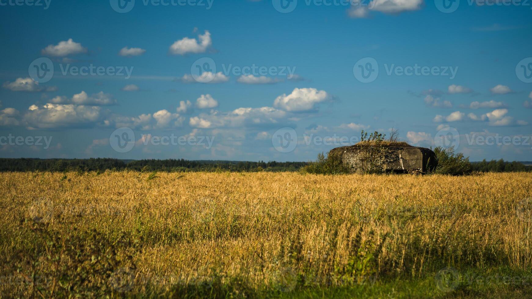 A bunker in the distance, in a wheat field. Bunker in the field photo