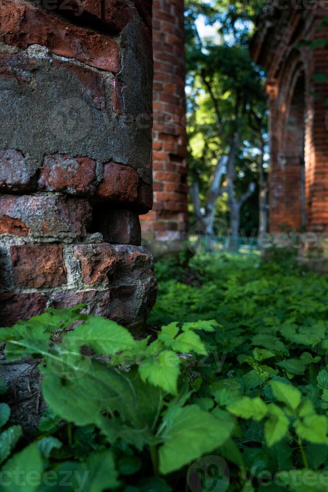 Old brick columns in the thick grass photo