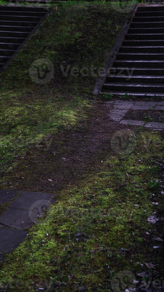 An abandoned place. The steps are overgrown with grass from time to time photo