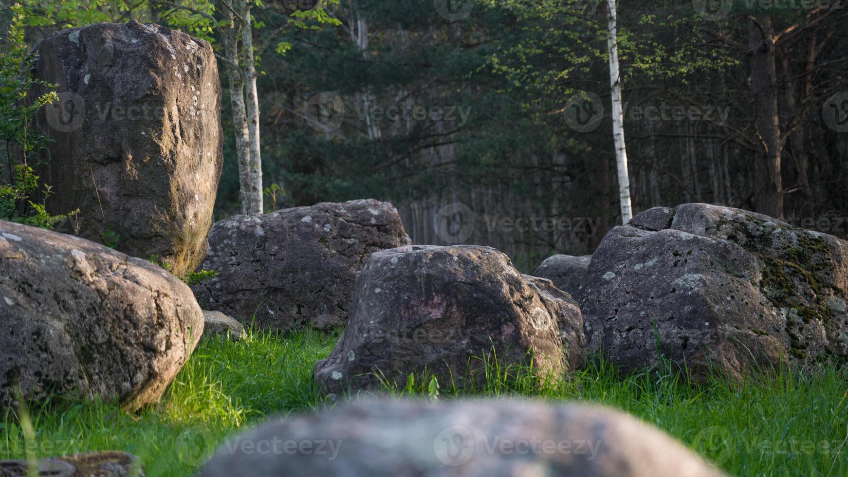 Huge boulders lie in the forest park of stones photo