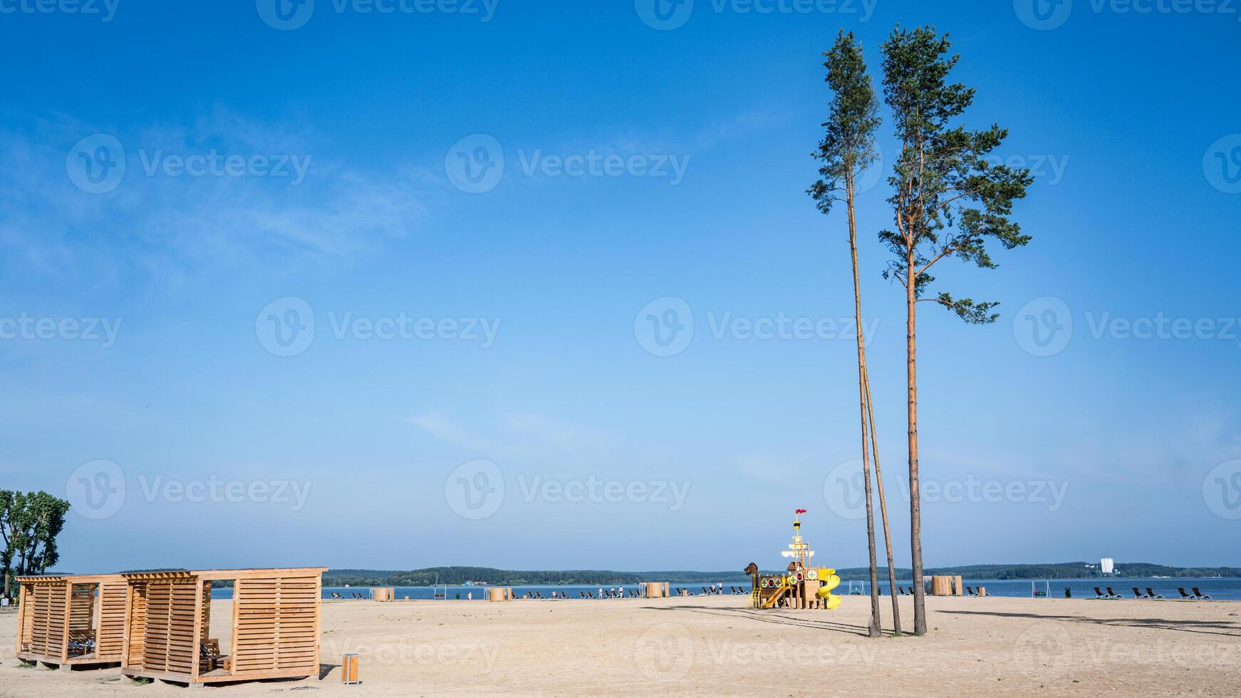 Tall fir trees on the beach next to the playground photo