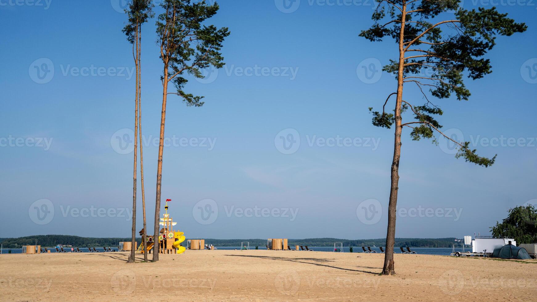 A pair of tall fir trees on the background of the lake photo