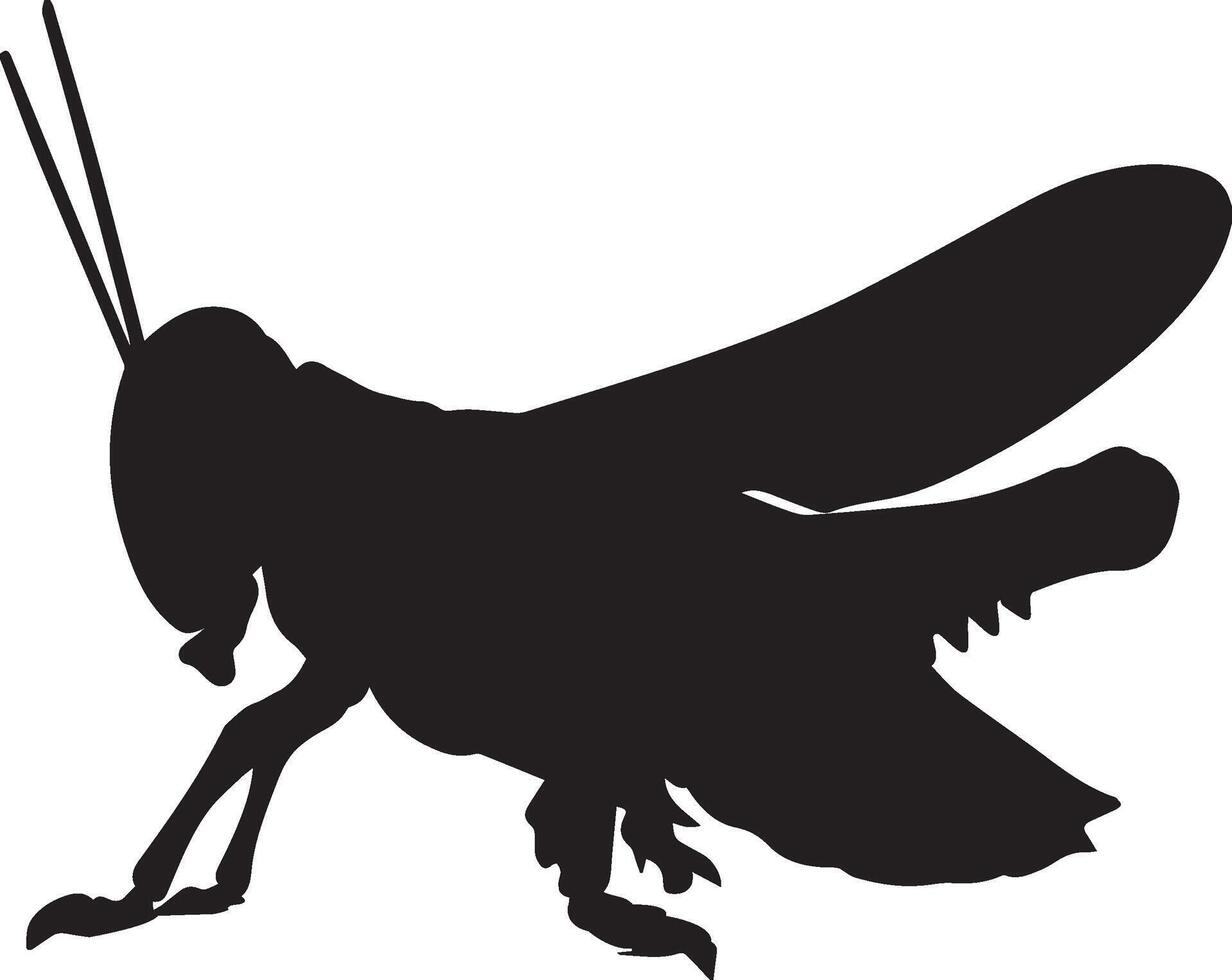 Grasshopper silhouettes illustration vector