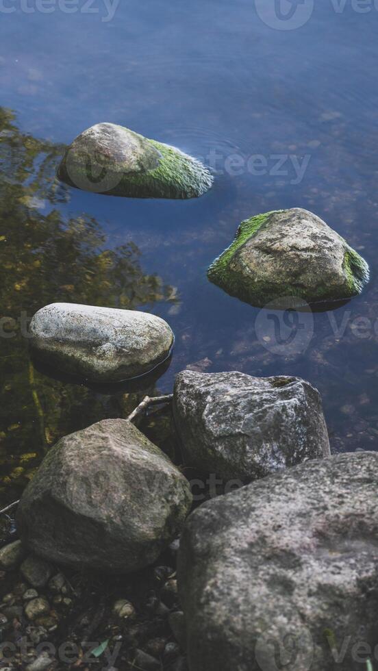 Algae-covered rocks on the shore of the stone shore of the lake photo