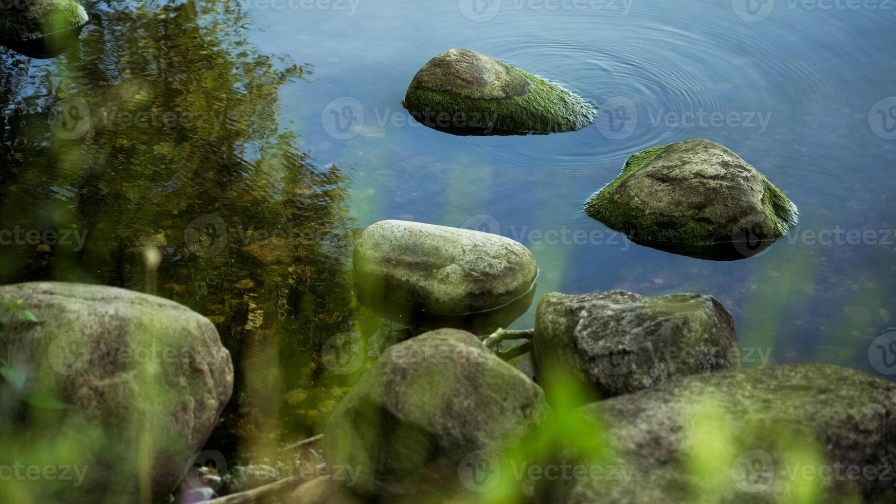 The rocks on the lake shore are covered with algae photo