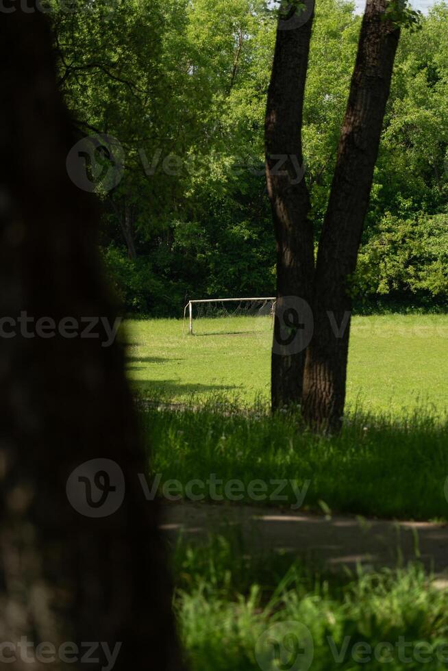 An old, abandoned football stadium in the woods. A football field, a gate in the distance. Framing photo