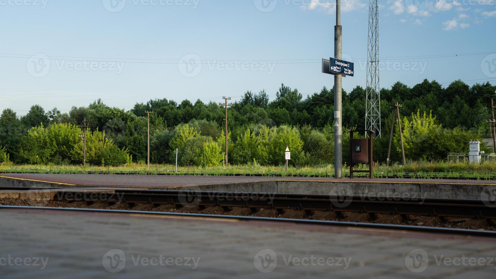Train station, platform, a growing forest. Platform 2, Path 2, Path 3 photo
