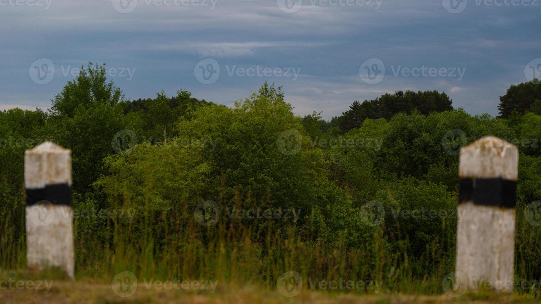 2 White concrete pillars with a black stripe on a forest background photo