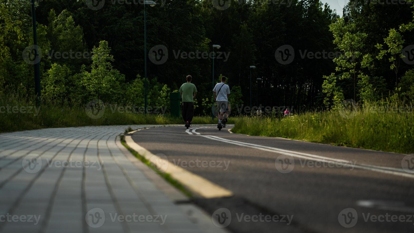 Two scooters are riding along a bike path next to the forest photo