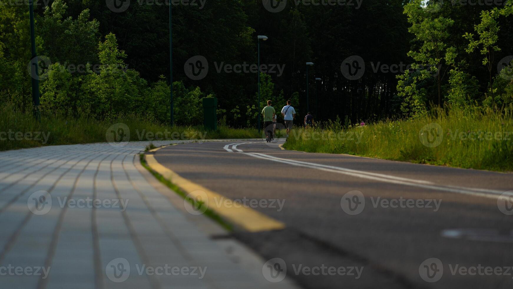 Bike path in the evening in the forest next to the river photo