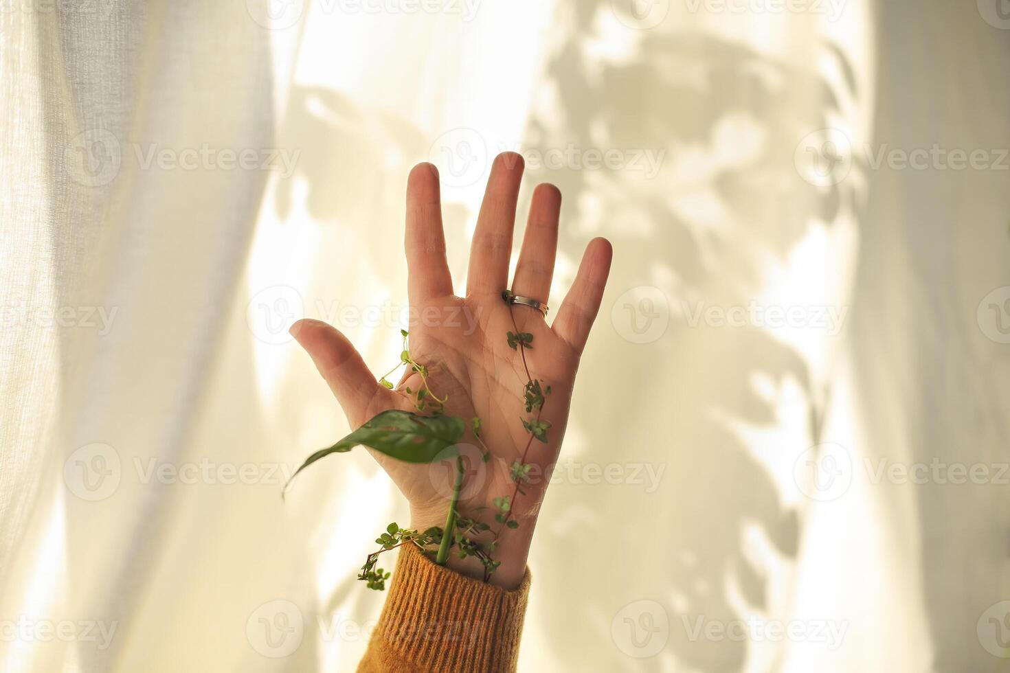 Green plant wrapped around female hand and fingers against white fabric with shadow of leaves photo