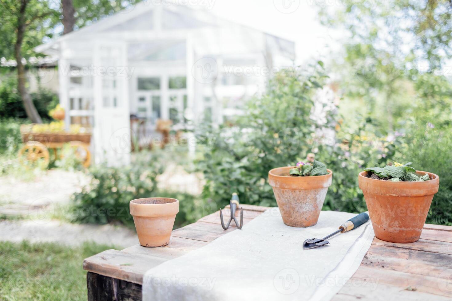 Planting plants in the garden. Three clay pots with flowers and garden tools on a rustic wooden table outdoors. photo