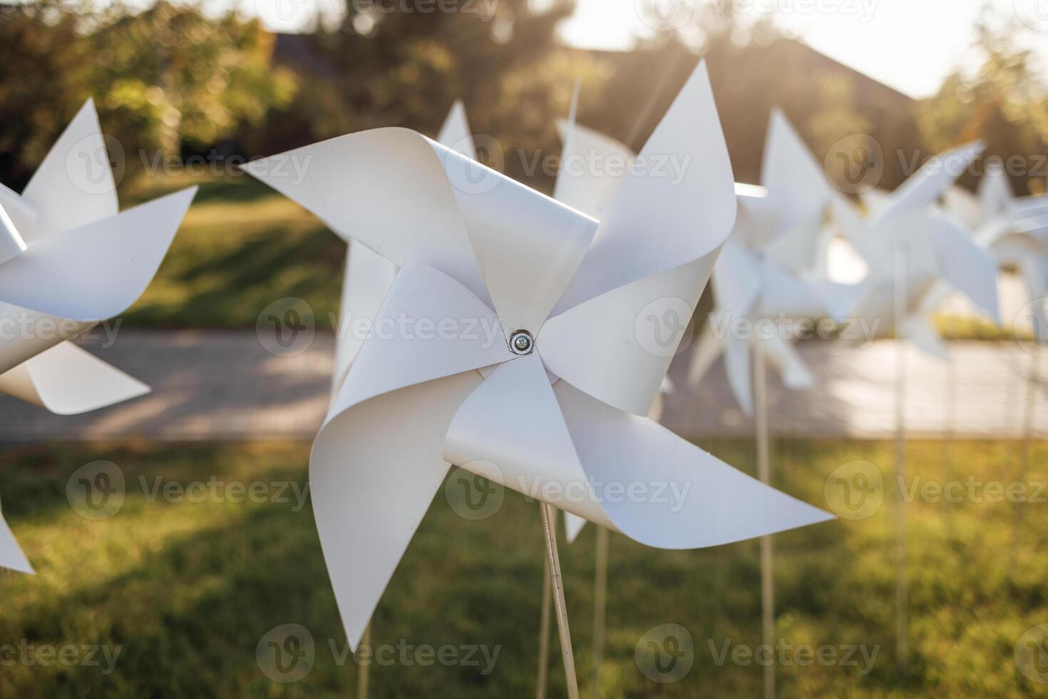 pinwheels in the grass photo