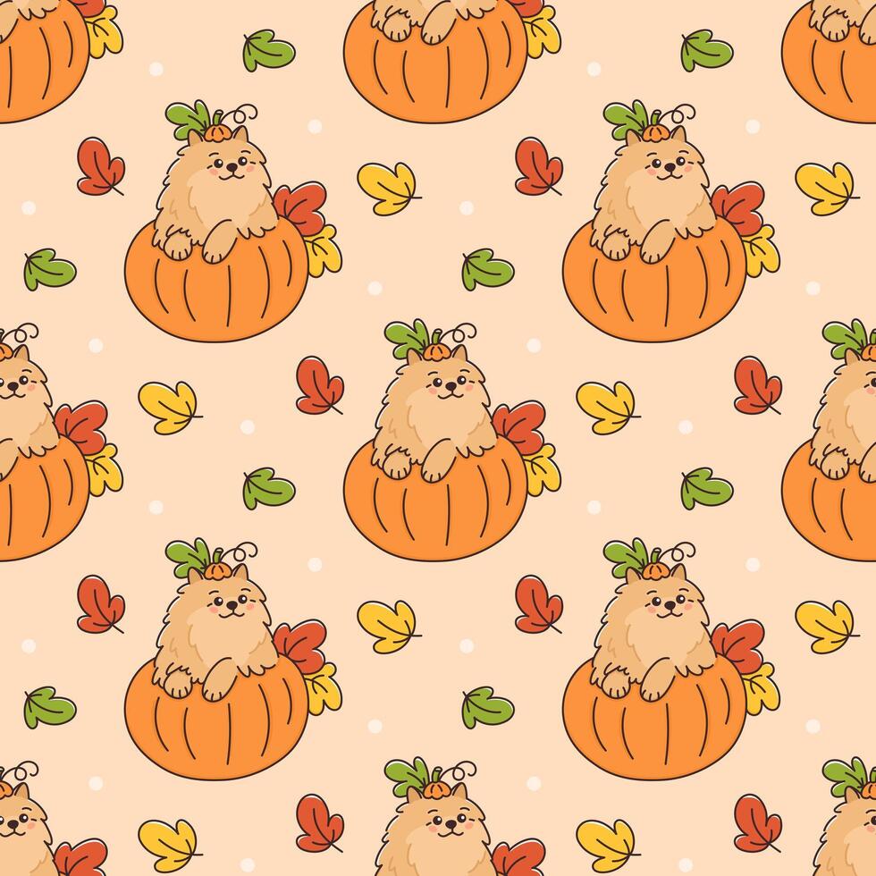 Seamless pattern with cute and funny Pomeranian spitz dog sitting in pumpkin. Background with puppy and leaves for Thanksgiving, Harvest and other autumn holidays vector