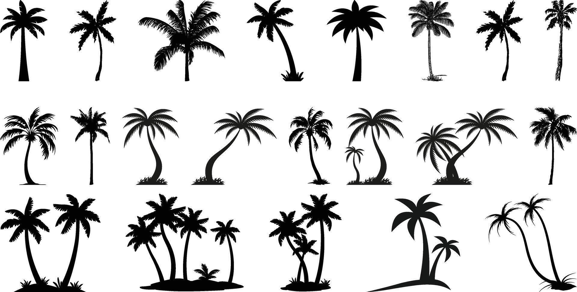 Set of coconut Tree collection. vector