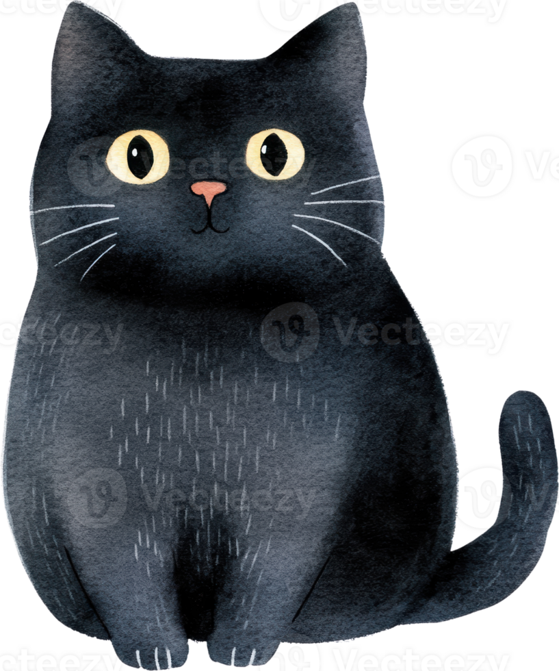 Cute Black Cat with Big Eyes Sitting Calmly and Staring png