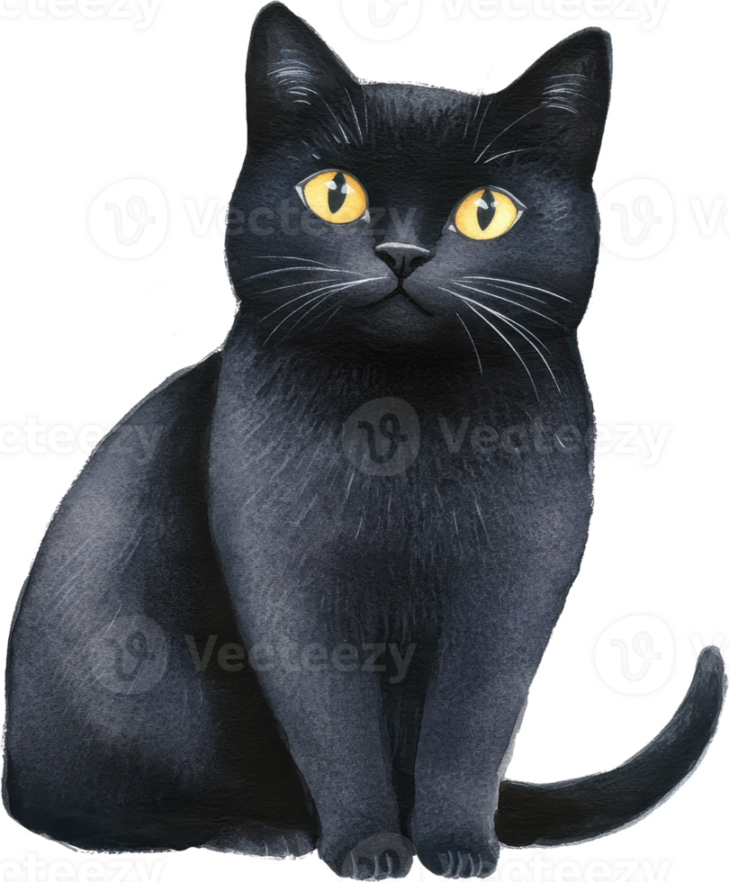 Enchanting Black Cat With Mesmerizing Yellow Eyes png
