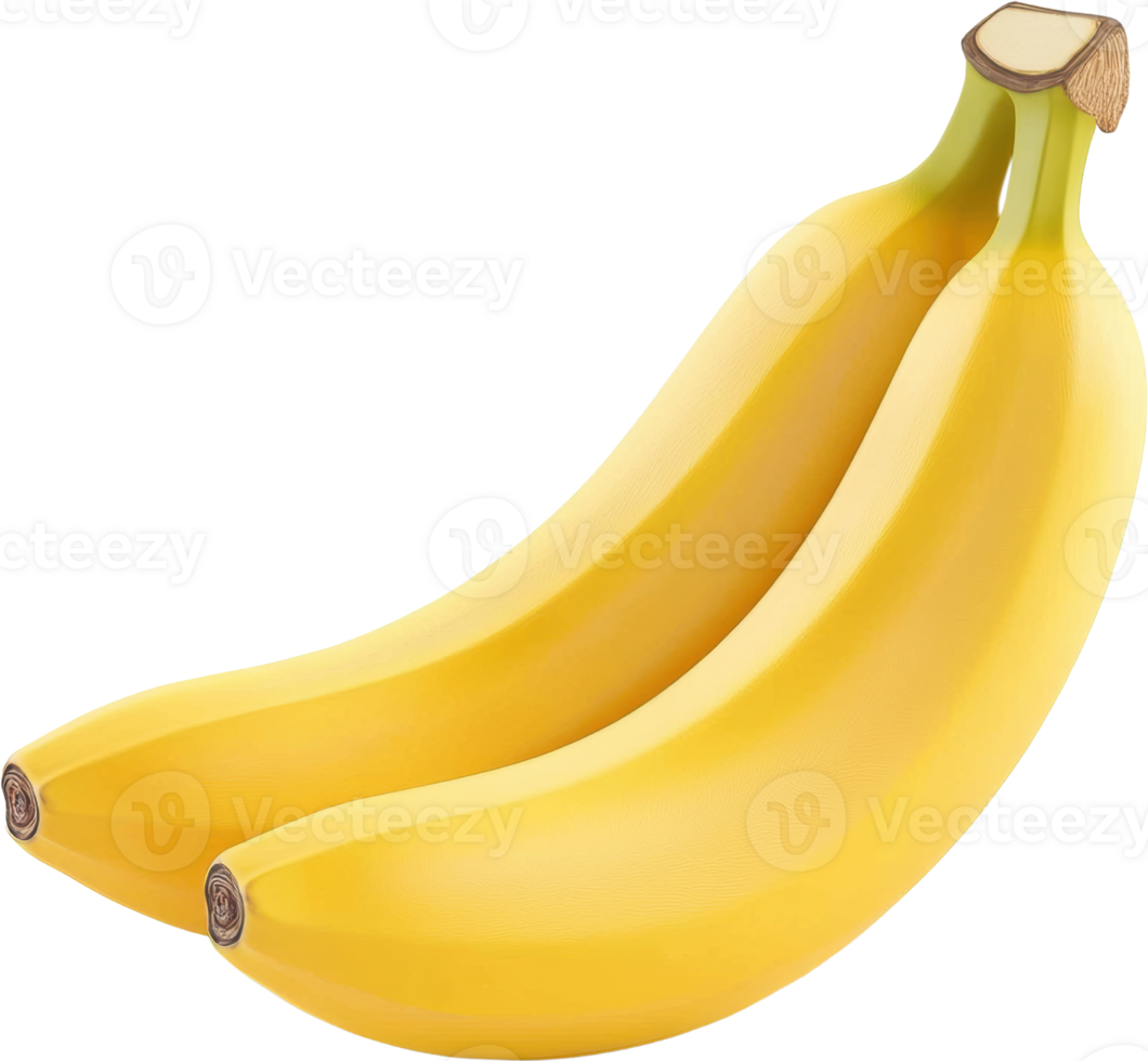 Illustration of Two Bright Yellow Bananas with a Transparent Background png