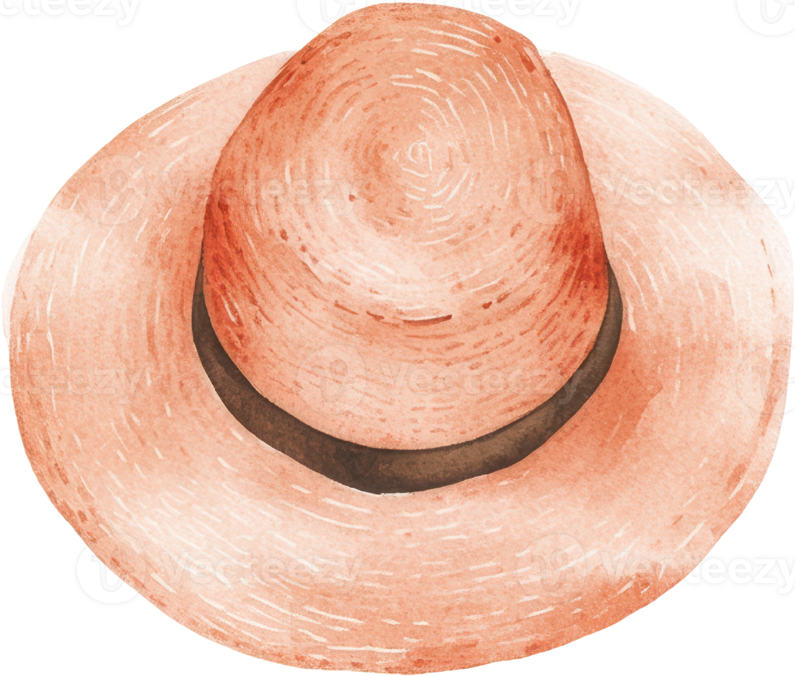 Stylish Rustic Hat with Earthy Tones Perfect for Summer png