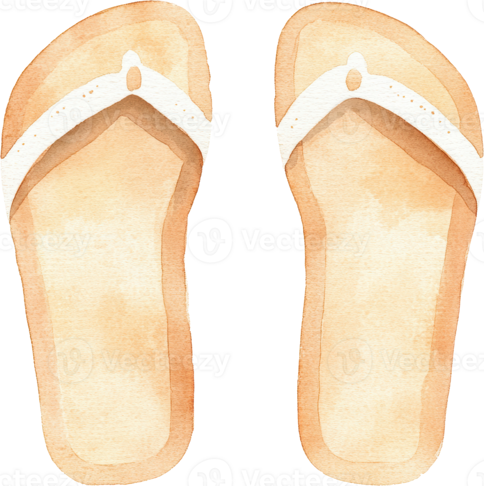 Charming Watercolor Illustration Of Summer Flip Flops png