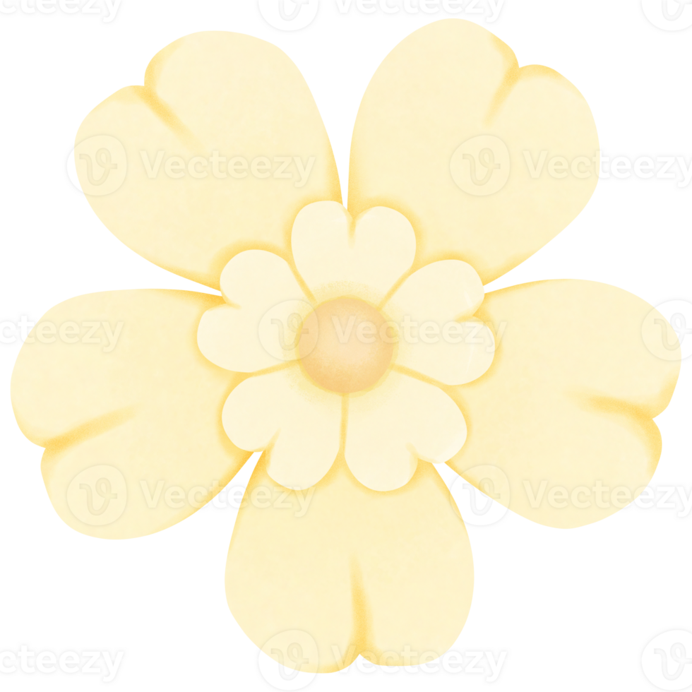 Yellow flowers have 5 petals png
